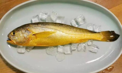 感冒吃点什么补充营养-感冒时期的营养补充,中国感冒时期的营养网站