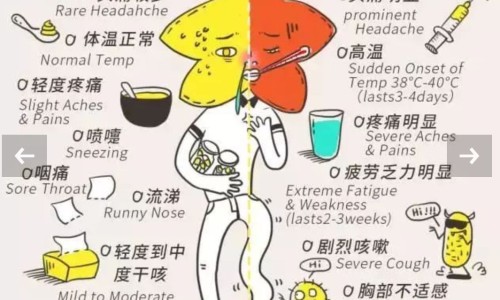 感冒时身体需要哪些营养-感冒吃点什么补充营养-感冒时期的营养补充,中国感冒时期的营养网站